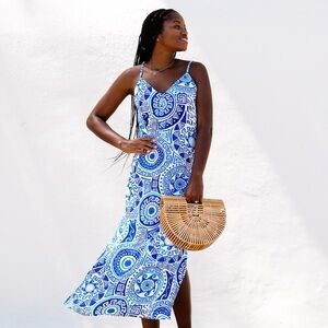 Kenny Flowers Blue and White Maxi Dress